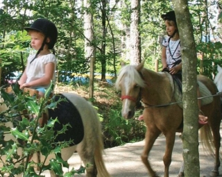  Paseo en pony infantil 
